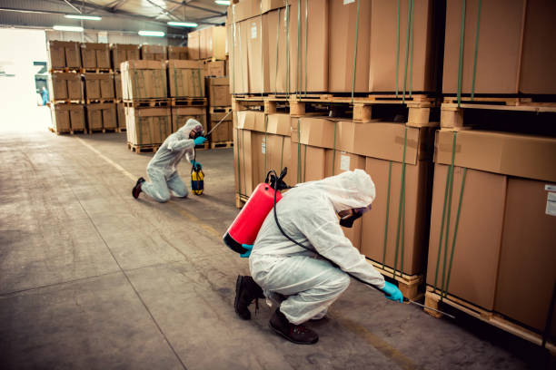 Best Pest Inspection Near Me  in Rhinelander, WI