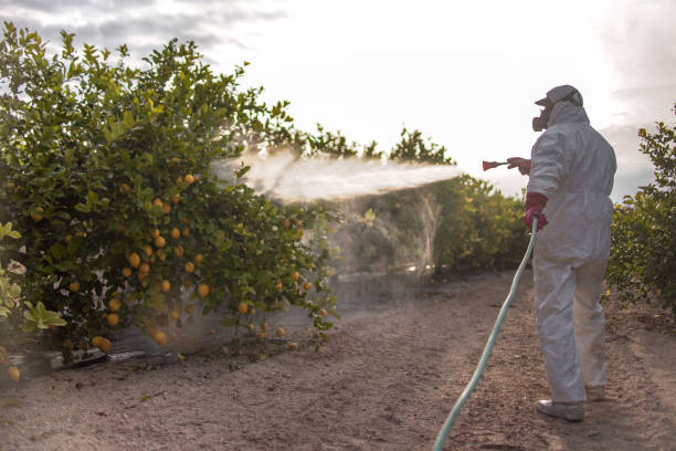 Best Commercial Pest Control Services  in Rhinelander, WI