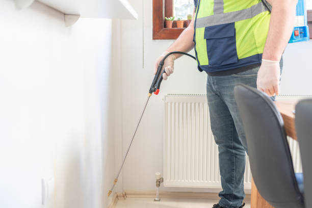 Trusted Rhinelander, WI Pest Control Experts