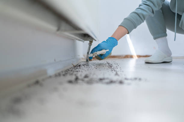Bird Control in Rhinelander, WI