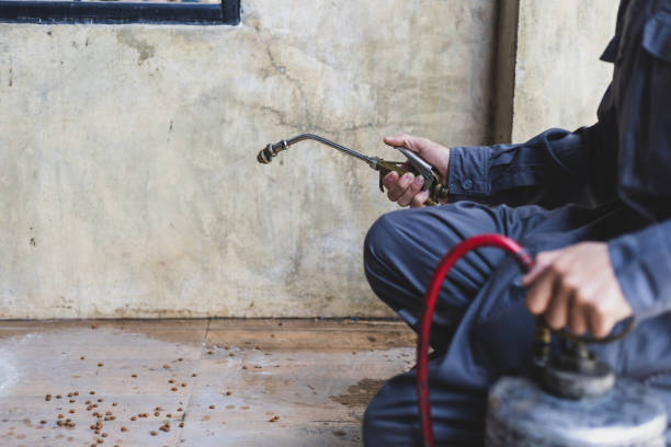 Best Mosquito Control Services  in Rhinelander, WI